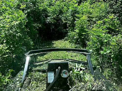 Bush Hogging, Bloomington, IN