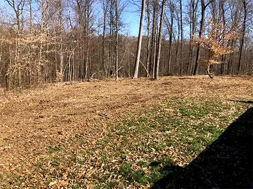 Forestry Mulching, Bloomington, IN