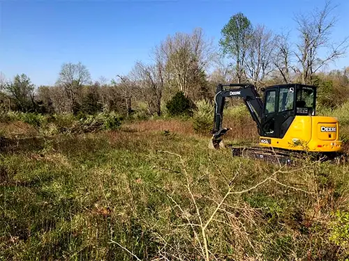 Land Clearing, Bloomington, IN