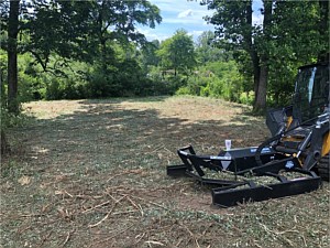 Forestry Mulching