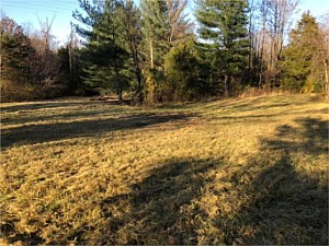 Photo 24
