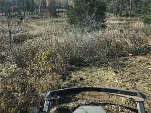 Photo 43