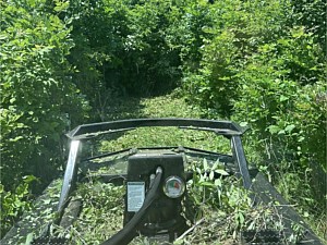 Photo 44