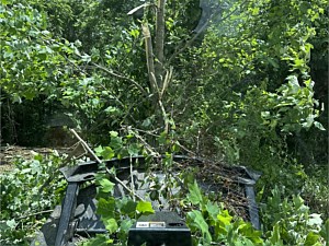 Photo 45